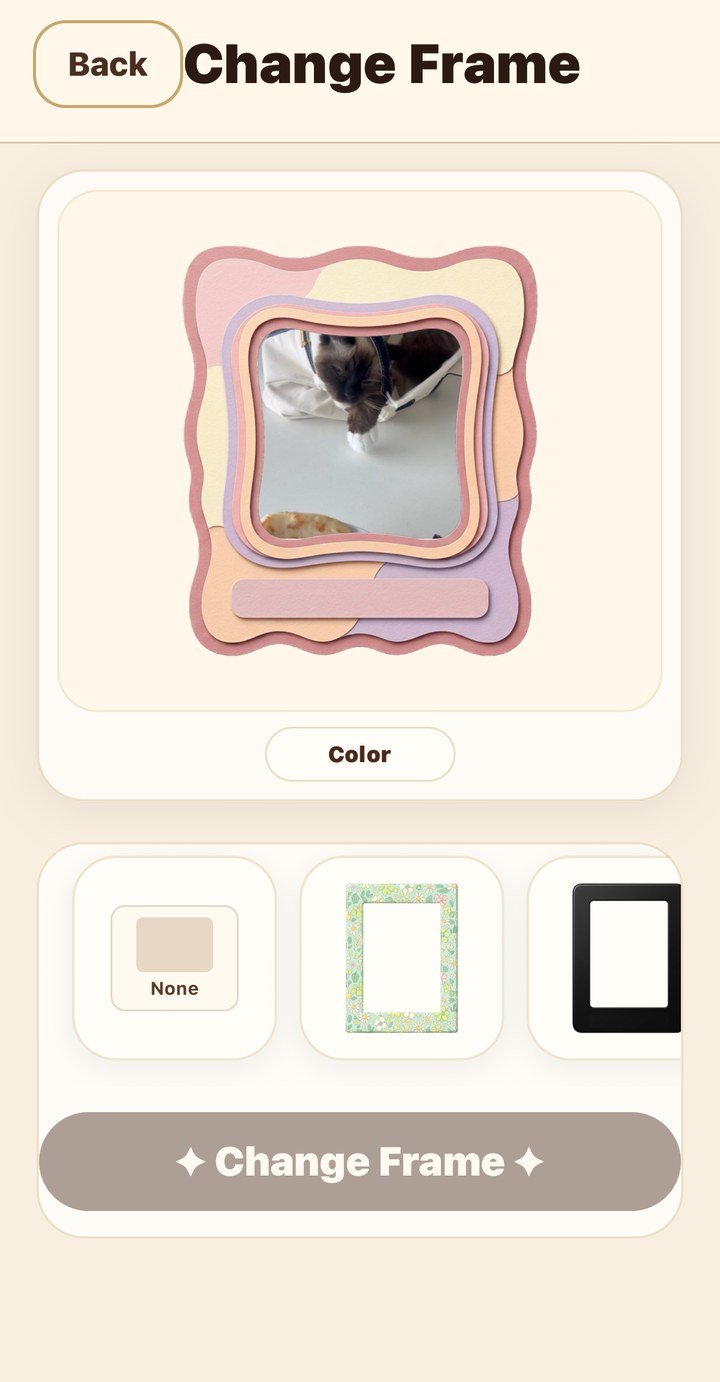 Remzy on iPhone: choosing a decorative frame for a photo on a page.